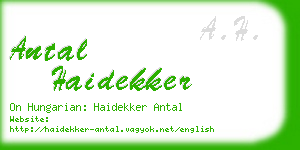antal haidekker business card